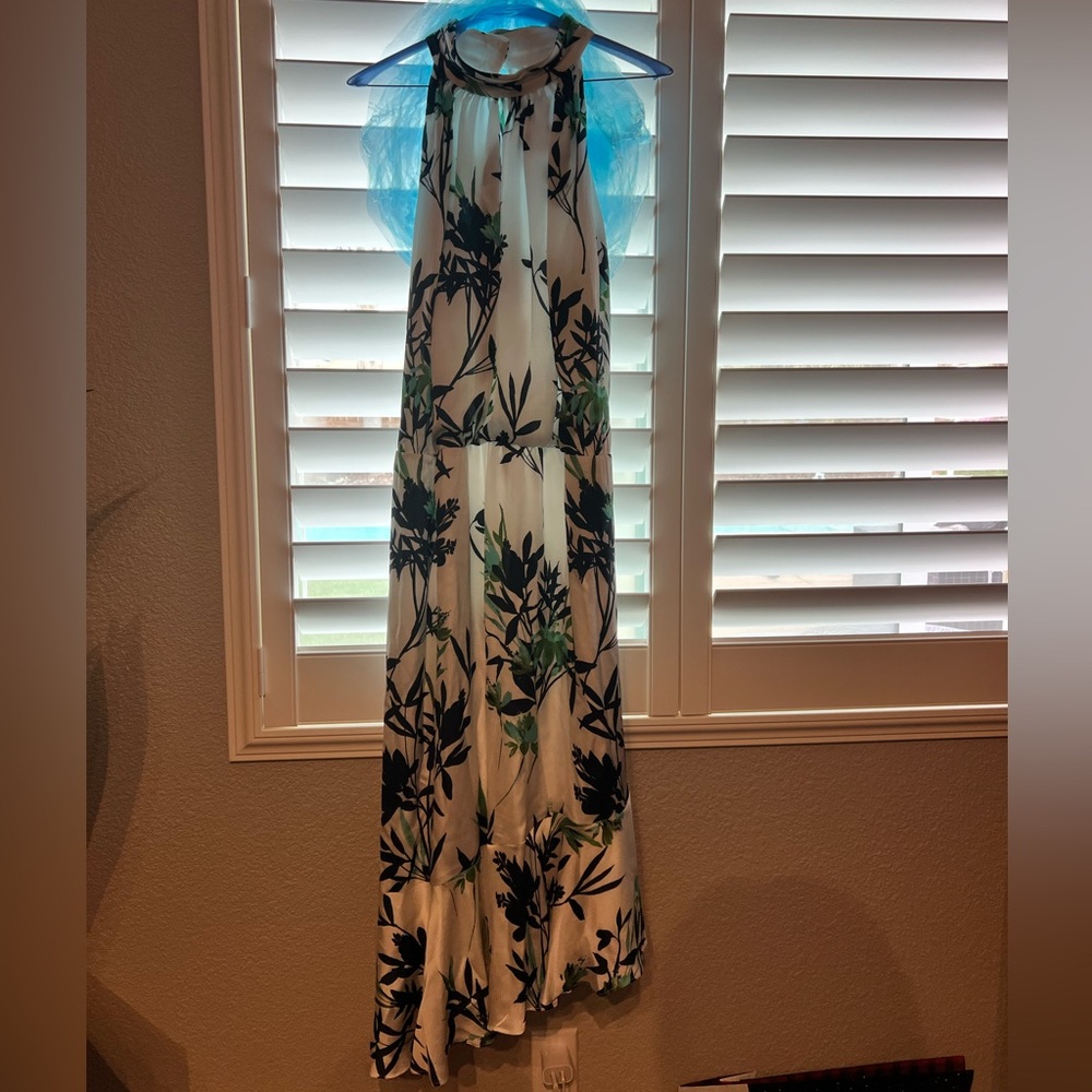 Adrianna Papell Floral Print dress